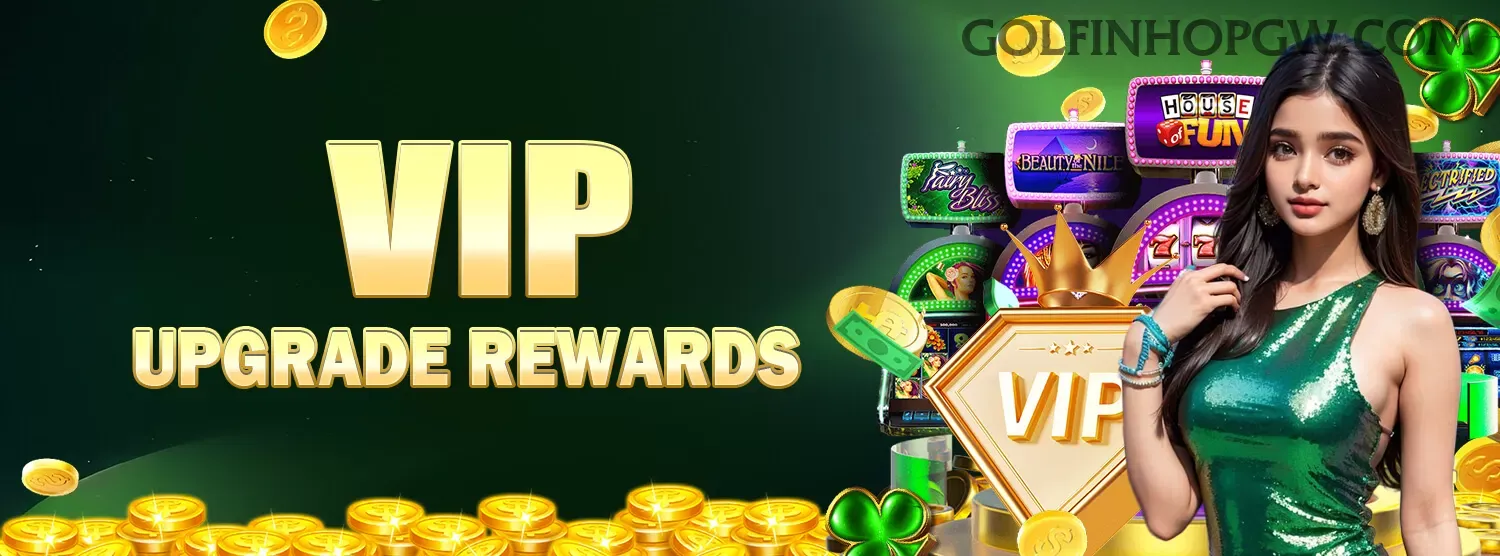 Suporte VIP golfinhopg - atendimento prioritário
